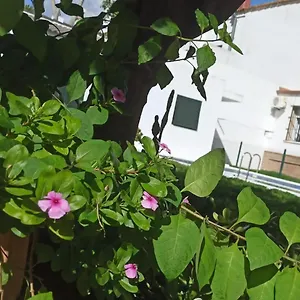  Сasa de vacaciones Casa Turquesa